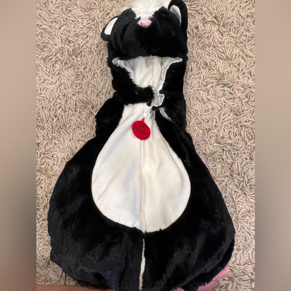 Baby skunk Halloween costume - like new!